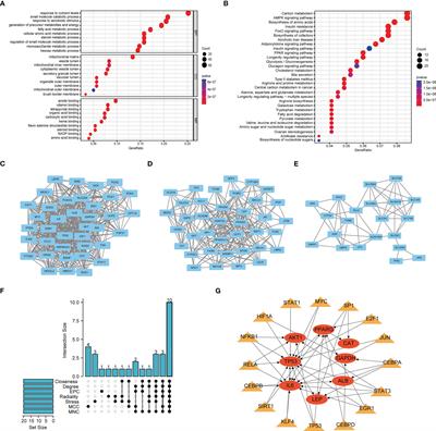 Identification of a glutamine metabolism reprogramming signature for predicting prognosis, immunotherapy efficacy, and drug candidates in bladder cancer